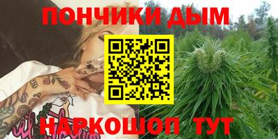 Альфа ПВП Малгобек