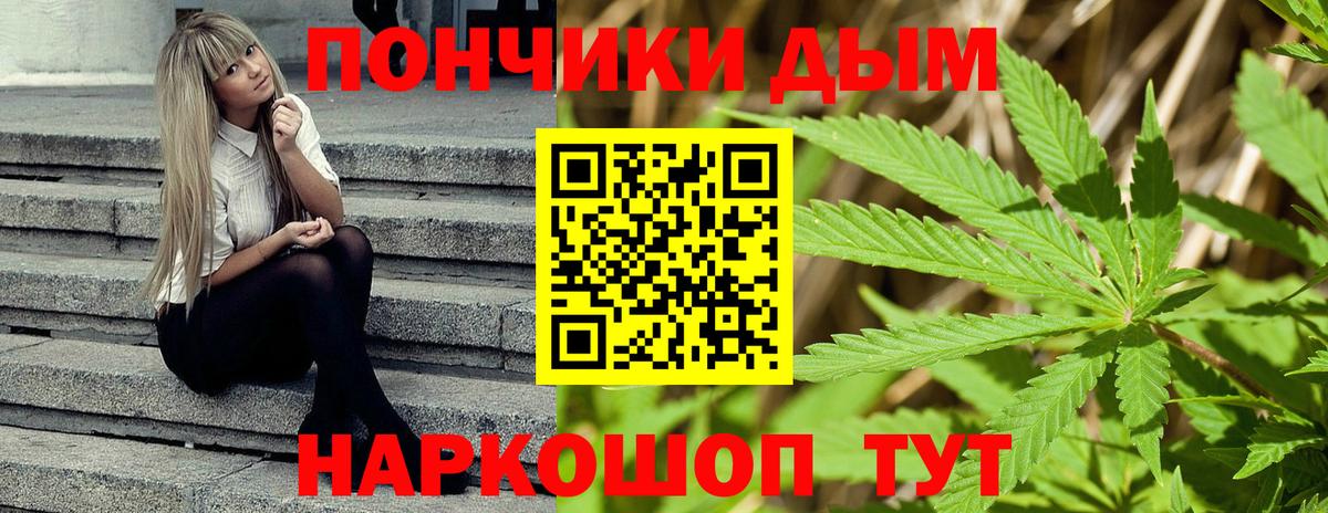 Шишки марихуана семена Добрянка
